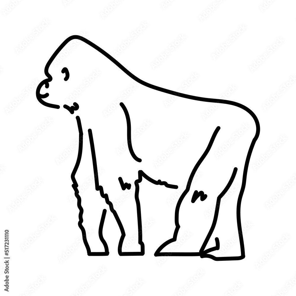 Obraz premium Gorilla color line illustration
