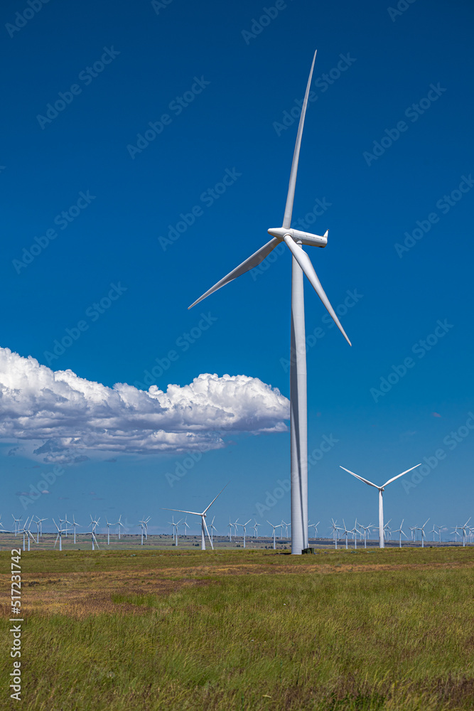Windmills in the Pacific Northwest