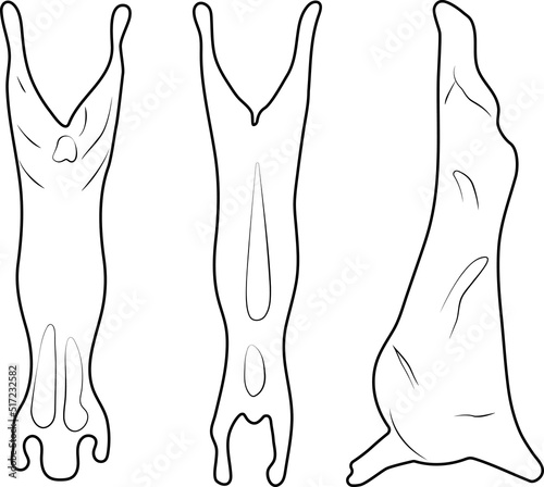 Vector illustration of raw meat three different pieces of big animals