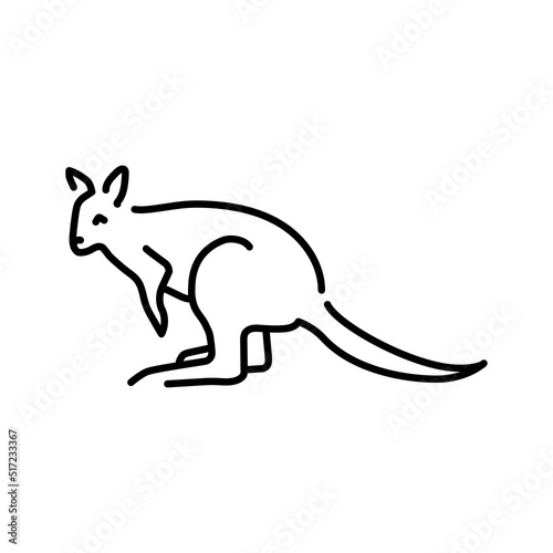 Wallabies color line illustration. Animals of Australia