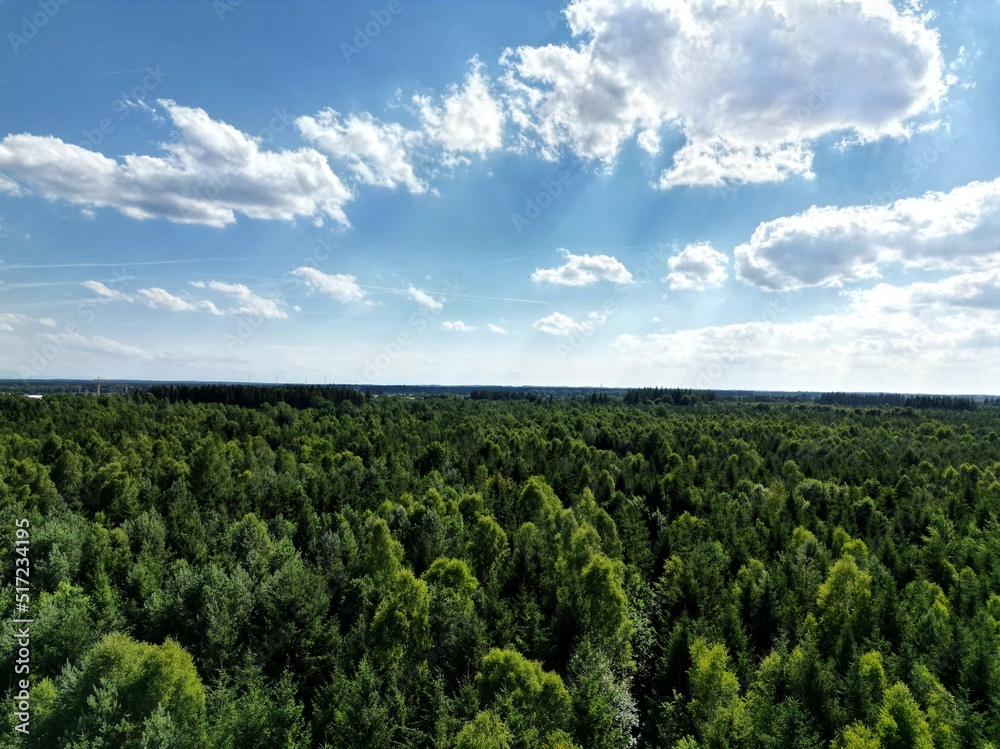 Aerial view of green forest with deep blue sky