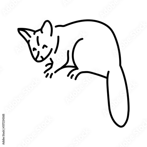 Australian kuzu color line illustration. Animals of Australia