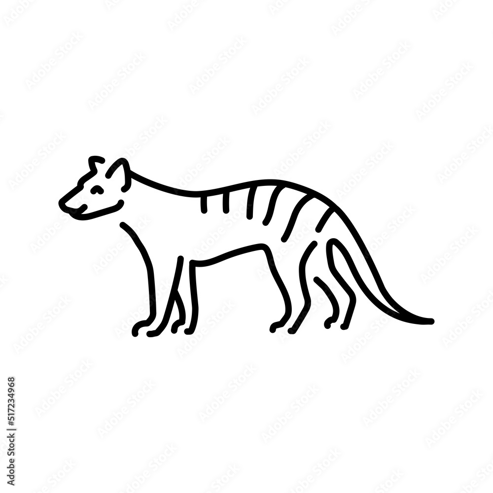 Marsupial wolf color line illustration. Animals of Australia Marsupial wolf color line illustration. Animals of Australia