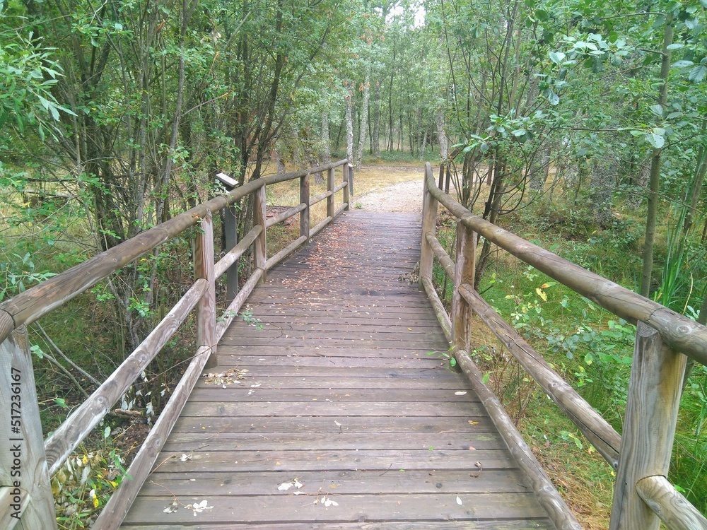 Wooden Footbridge on the Way