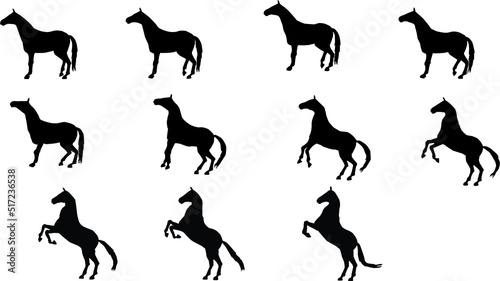 Image sequence of Horse for animation.