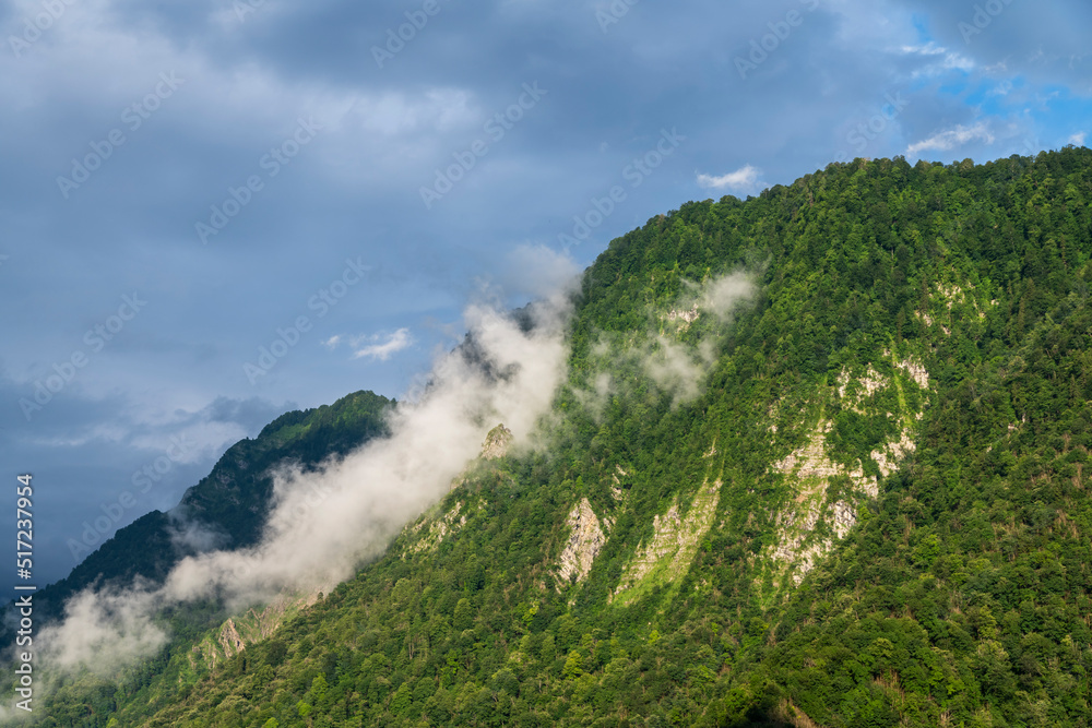 Beautiful landscape in the mounts. Green trees on the hill and clouds over the mountains.