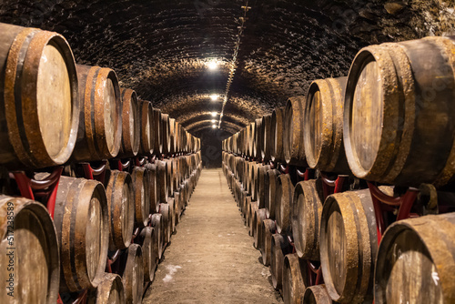 Canvas-taulu wine cellars with barrels near Eger, Hungary