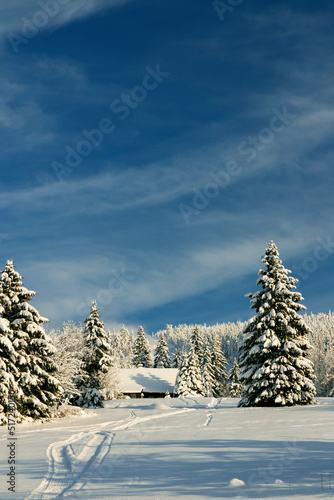 Winter landscape around Mala Upa, Giant Mountains (Krkonose), Northern Bohemia, Czech Republic © Richard Semik