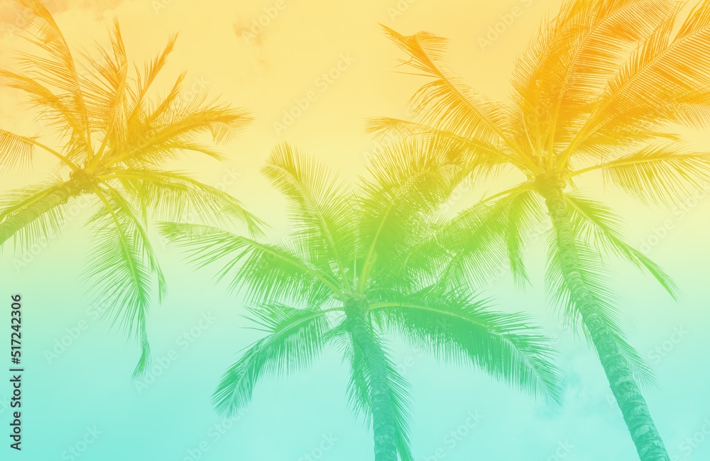 Tropical Palm Trees  with vintage retro tones. Beach Vibe background  - obrazy, fototapety, plakaty 