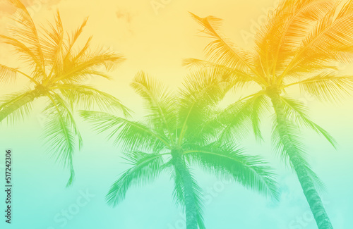 Fototapeta Naklejka Na Ścianę i Meble -  Tropical Palm Trees  with vintage retro tones. Beach Vibe background 