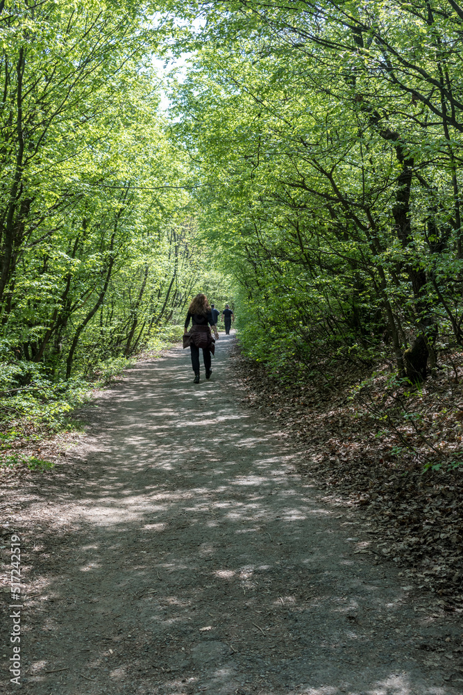 A person walks in the park in fresh air. A person walks in the park in fresh air.