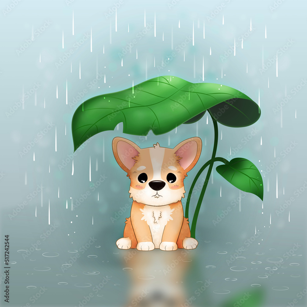 Mały smutny piesek stojący pod liściem w deszczu. Nieszczęśliwy szczeniak Welsh Corgi Pembroke. Mały uroczy zwierzak. - obrazy, fototapety, plakaty 