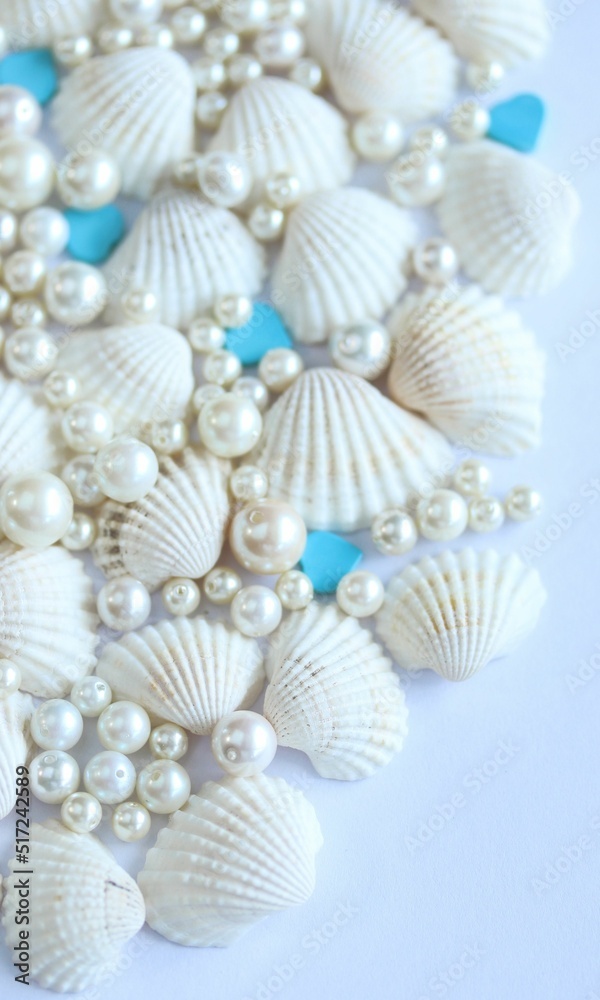 Shell Background Very Cool Shell Background Very Cool