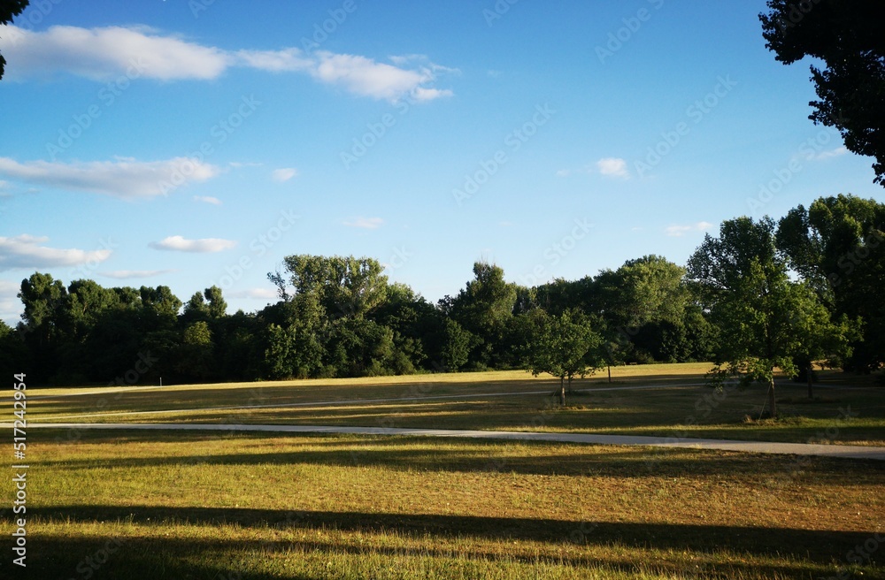 landscape with trees and sky