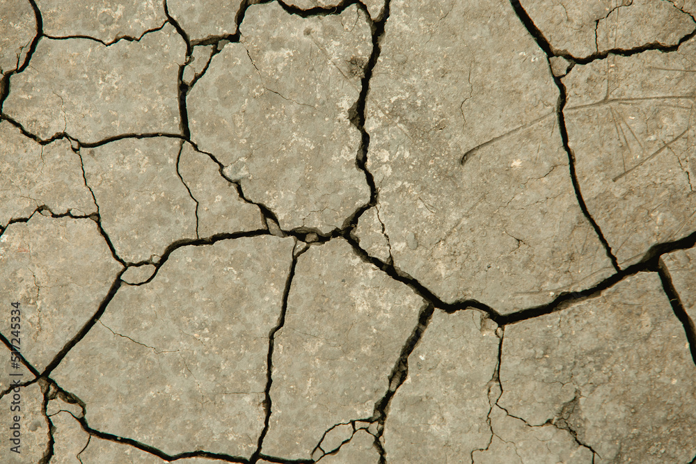 Fototapeta premium Parched earth that is cracked gray, it hasn't rained for a long time. The texture of the soil.