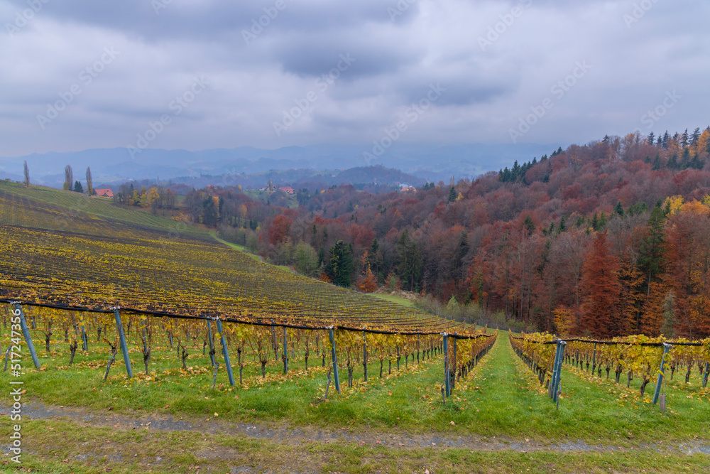Fototapeta premium Highest vineyards in Austria near the village Kitzeck im Sausal, Styria, Austria