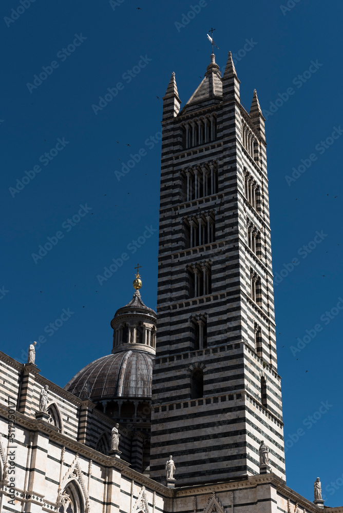 Der Glockenturm des Doms Santa Maria in Siena, Toskana, Italien Der Glockenturm des Doms Santa Maria in Siena, Toskana, Italien