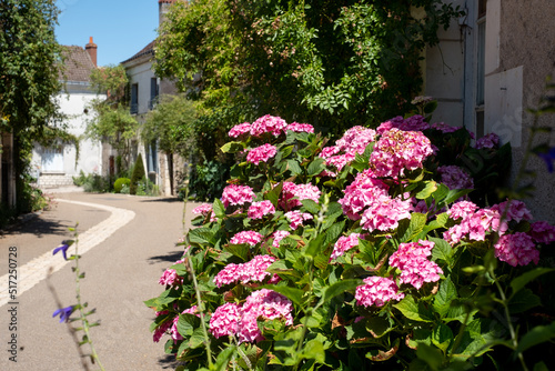 Picturesque street scene with flowers  photographed in the Loire Valley  France  during the July 2022 heatwave.