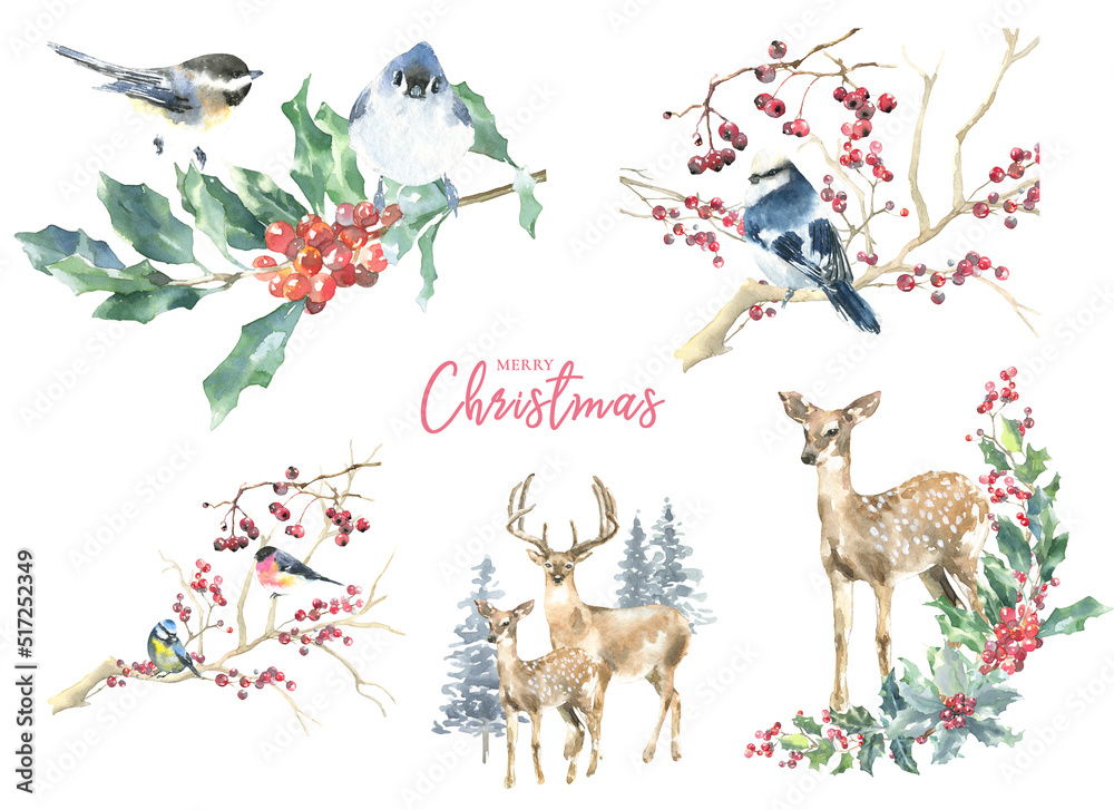 Naklejka premium Merry Christmas Watercolor Deer, fawn,bird arrangement, bouquet, frame, scene illustration. Winter Woodland forest birds in plant,fir,twig, evergreen, berries, pine. blue tit, Nuthatch card decoration