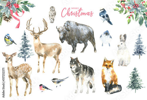 Merry Christmas watercolor illustration. Deer,fawn,stag, buffalo,wolf, fox, birds, bunny. Christmas tree, spruse,frames. Winter forest animals for greeting cards,postcard, invitation, flyer, poster