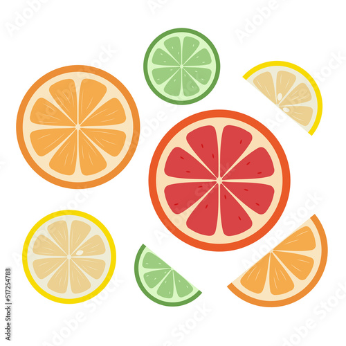 Set of citrus fruit slices