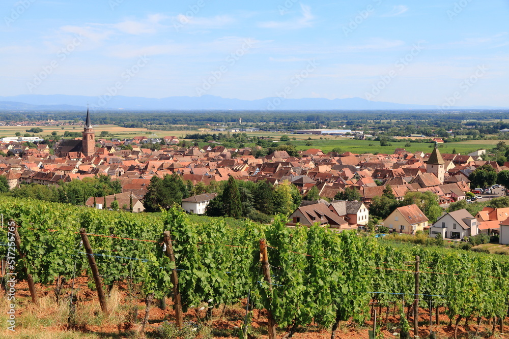 Bergheim, dans le vignoble d'Alsace, un des plus beaux villages de France