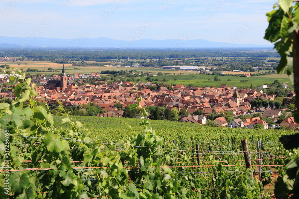 Bergheim, dans le vignoble d'Alsace, un des plus beaux villages de France
