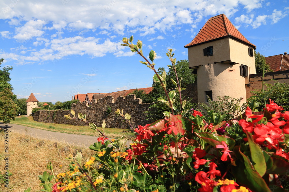 Bergheim, dans le vignoble d'Alsace, un des plus beaux villages de France