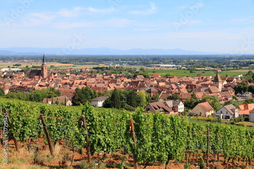 Obraz na płótnie Bergheim, dans le vignoble d'Alsace, un des plus beaux villages de France w salonie