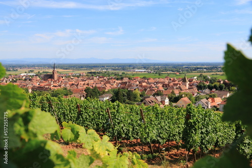 Bergheim, dans le vignoble d'Alsace, un des plus beaux villages de France photo
