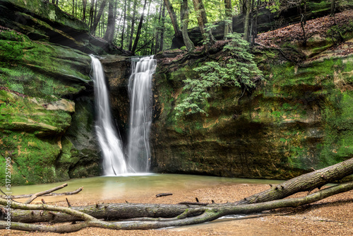 Hidden in a secluded forest, Rock Stalls Falls, a waterfall in the Hocking Hills of Ohio, flows over a sandstone cliff covered in green, with fallen trees in the foreground.