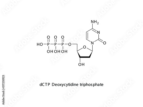 dCTP Deoxycytidine triphosphate Nucleoside molecular structure on white background. DNA and RNA building block - nitrogenous base, sugar and phosphate. photo