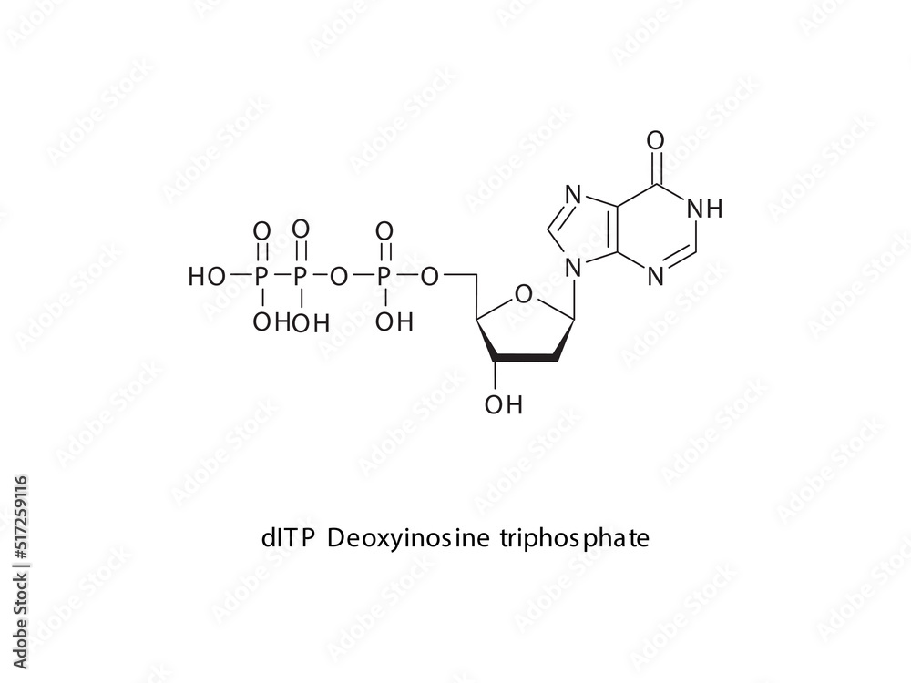 dITP Deoxyinosine triphosphate Nucleoside molecular structure on white background. DNA and RNA building block - nitrogenous base, sugar and phosphate. dITP Deoxyinosine triphosphate Nucleoside molecular structure on white background. DNA and RNA building block - nitrogenous base, sugar and phosphate.