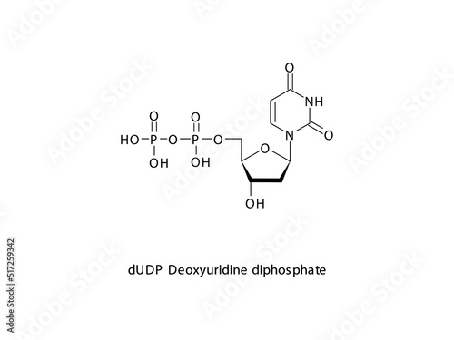 dUDP Deoxyuridine diphosphate Nucleoside molecular structure on white background. DNA and RNA building block - nitrogenous base, sugar and phosphate. photo