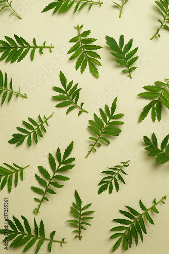 Backdrop with light green leaves scattered on a textured green background. Simple spring or summer floral layout as pattern