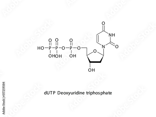 dUTP Deoxyuridine triphosphate Nucleoside molecular structure on white background. DNA and RNA building block - nitrogenous base, sugar and phosphate. photo