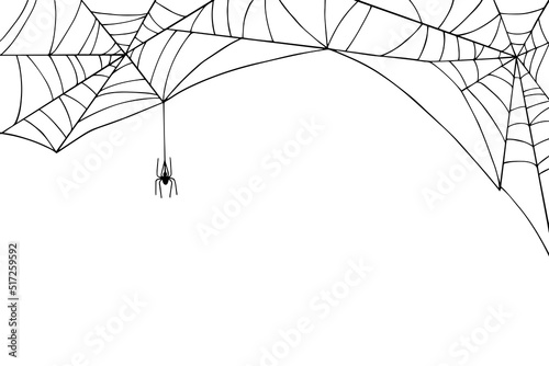 Linear sketch of a web with a spider. Vector graphics.