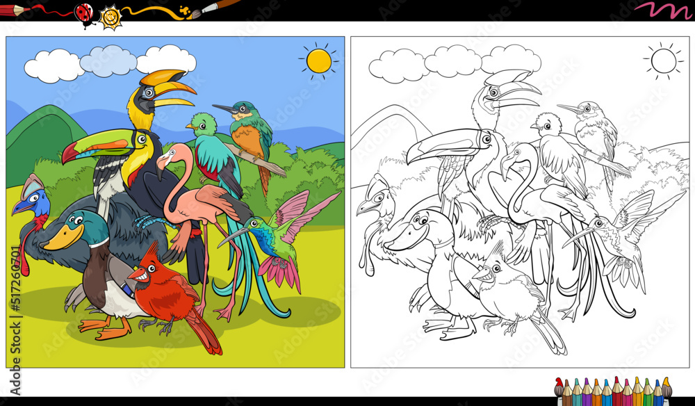 cartoon birds animal characters group coloring page cartoon birds animal characters group coloring page