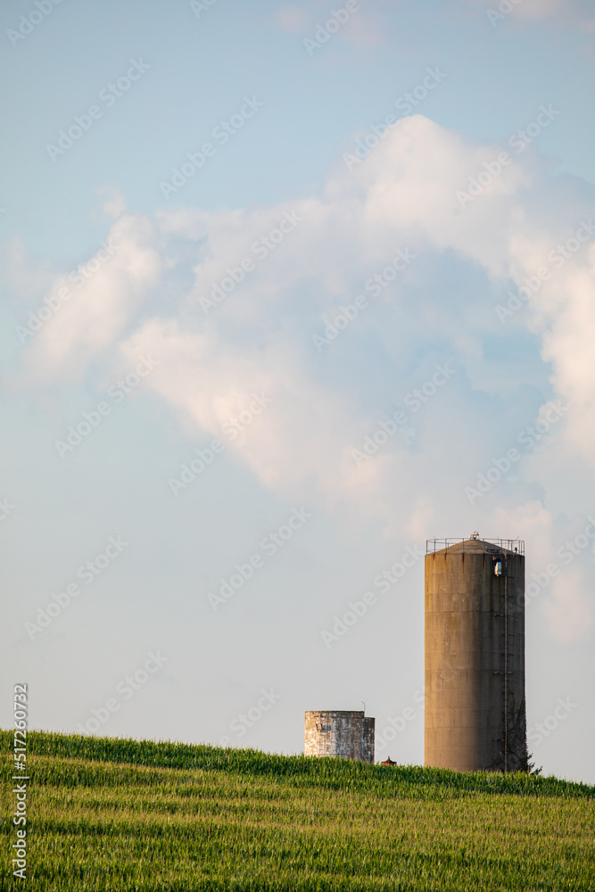 Large silo in a corn field on a late summer day in Amish country, Ohio