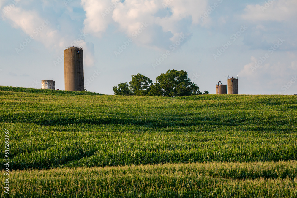 Multiple silos in a cornfield on a hill under a cloudy blue sky on a late summer afternoon in Amish country, Ohio Multiple silos in a cornfield on a hill under a cloudy blue sky on a late summer afternoon in Amish country, Ohio