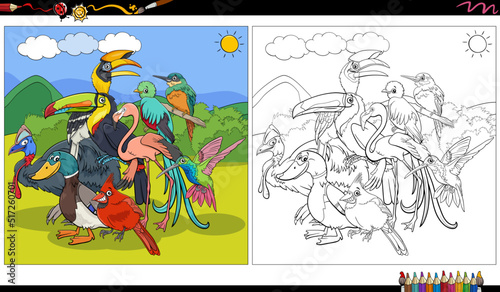 cartoon birds animal characters group coloring page