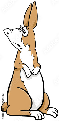 cartoon dwarf rabbit comic character standing up