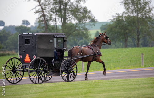 Side view of an Amish horse and buggy trotting along on the road with trees in the background | Holmes County, Ohio