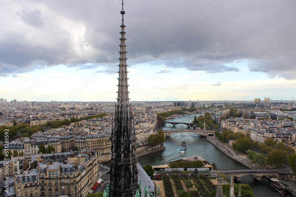 Fototapeta premium View of Paris and the river Seine from Notre Dame Cathedral. France 