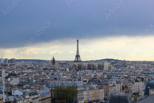 View of the Eiffel Tower from Notre Dame Cathedral Paris, France 