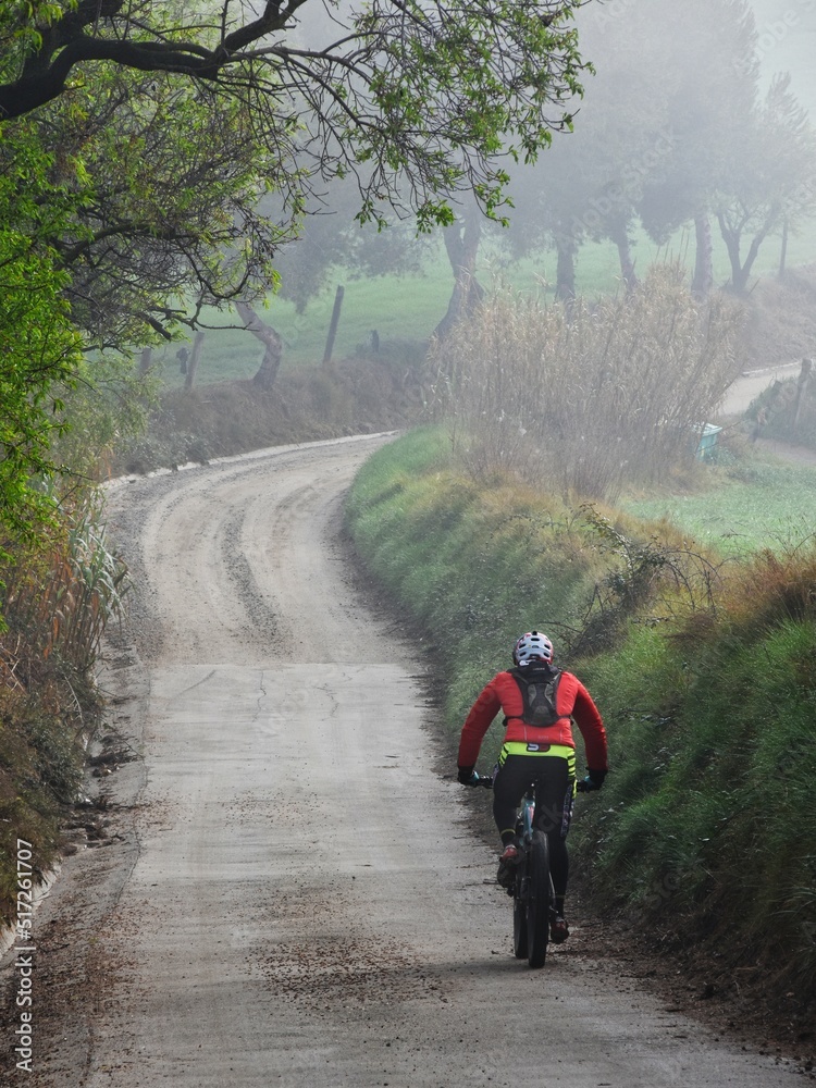 person riding a bike