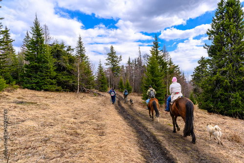 South Ural horses, horseback riding, farm with a unique landscape, vegetation and diversity of nature. © Evgeniy