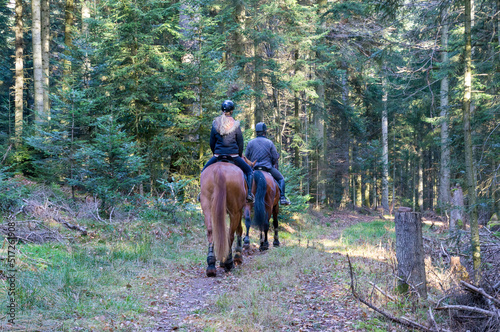 Reiter auf Waldweg © apcefoto