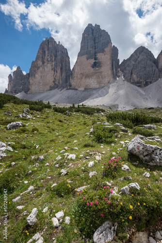 Prados con flores y formaciones rocosas de las Tres Cimas de Lavaredo en las Dolomitas de Auronzo en el noreste de Italia photo