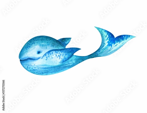 Blue whale. Watercolor illustration. An isolated element.